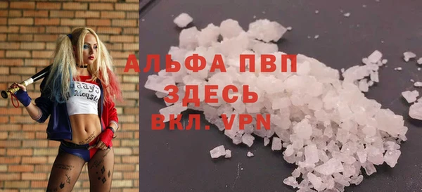 прущие грибы Вяземский
