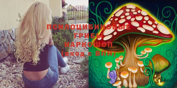 винт Володарск