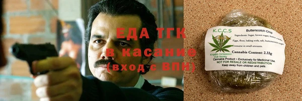 прущие грибы Вяземский