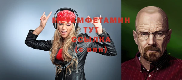 прущие грибы Вяземский