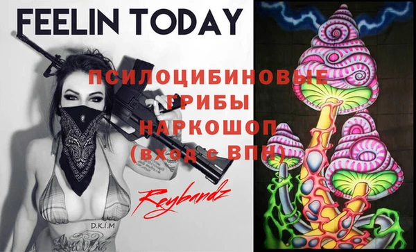 сатива Вязники