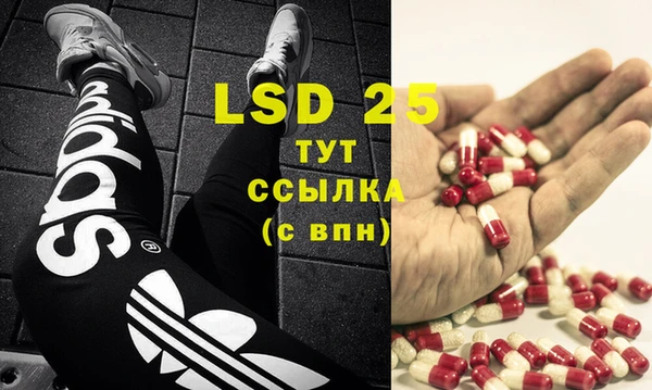 сатива Вязники