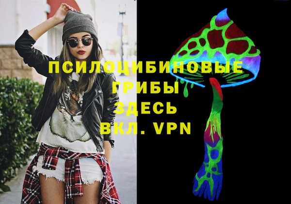 прущие грибы Вяземский