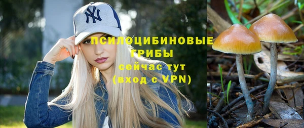 прущие грибы Вяземский