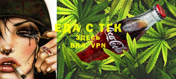 прущие грибы Вяземский