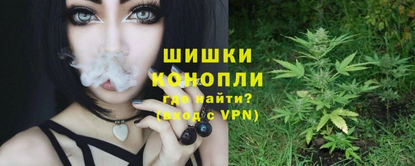 сатива Вязники
