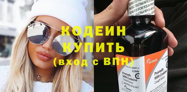 прущие грибы Вяземский