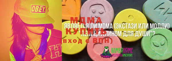 прущие грибы Вяземский